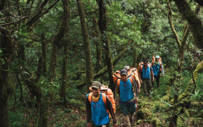 Trekking - Explore the Moss Forest and Klang Peak