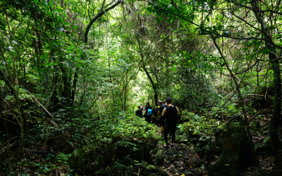 Trekking - Hanoi Weekend Outing Trip